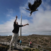 TAS_MER_NEWS_EAGLE_29DEC15