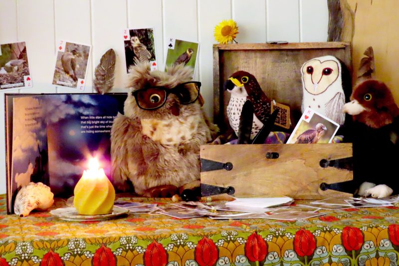 Children's books and toys