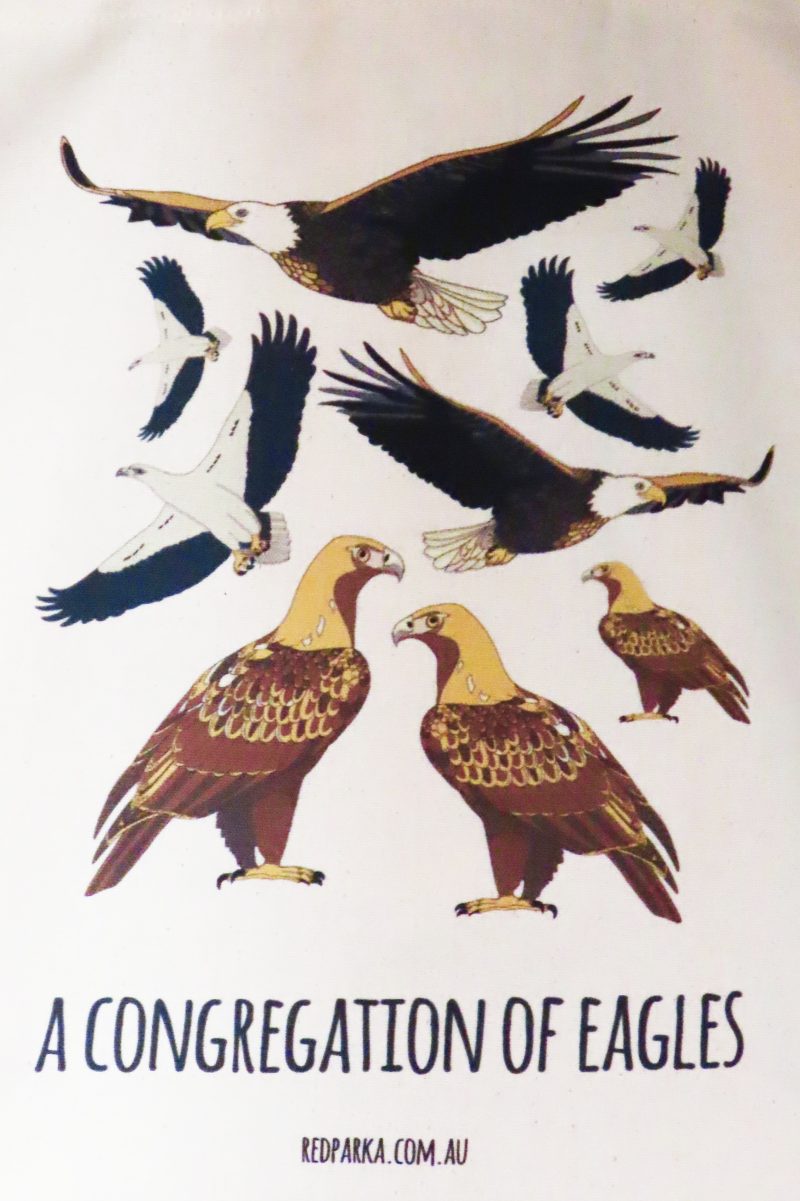 Congregation of Eagles Tote Bag