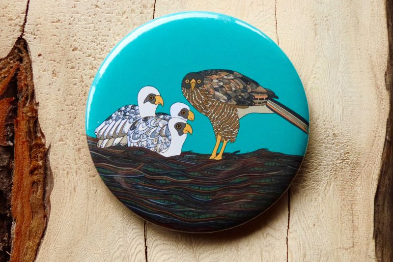 Brown Goshawk Bottle Opener Magnet