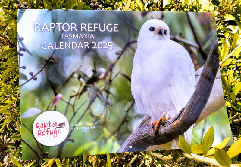 2025 Raptor Refuge Calendar